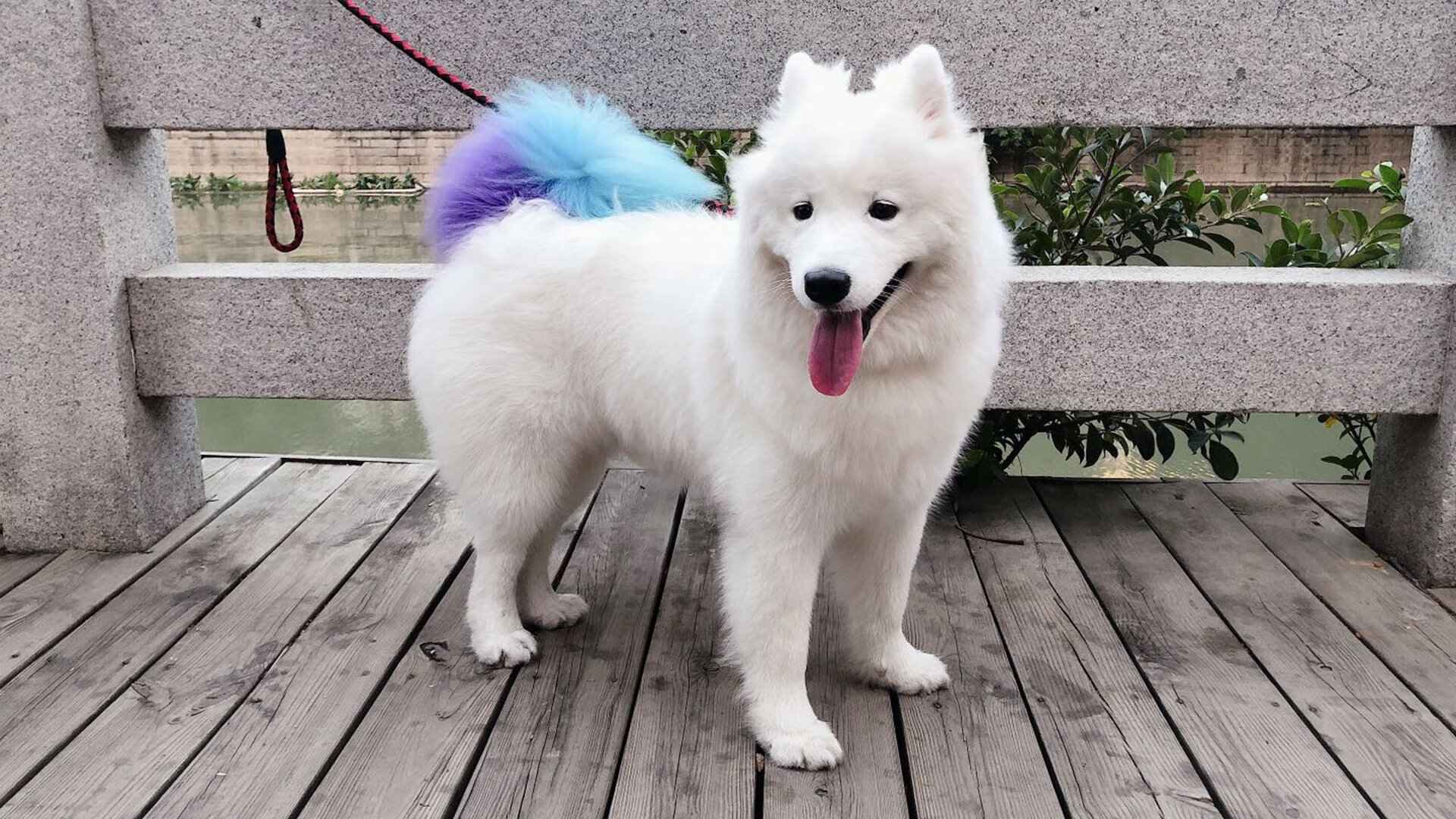 神话照进现实!奥运关键夜字母哥打出生涯代表作,这一刻他扛起了整个国家