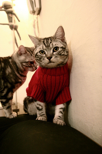 钢铁与流沙的角力，当三狮军团的利刃刺穿沙漠之盾—解码年度焦点战，英格兰如何粉碎阿尔及利亚